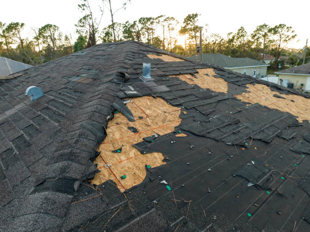 Professional Roofing Service in Grand Saline, TX