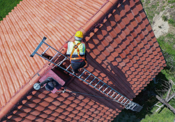 Best Roof Moss and Algae Removal  in Grand Saline, TX